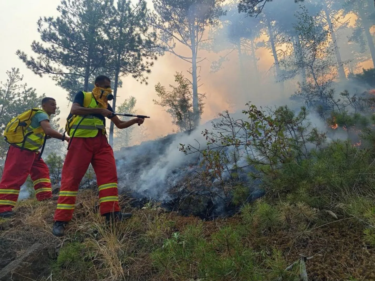 Shqipëri, rrezik i moderuar për zjarre në dhjetë qarqe