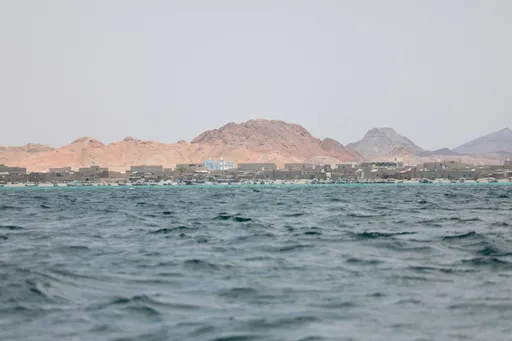 Ethiopia rejects ‘coercive measures’ over Red Sea interests