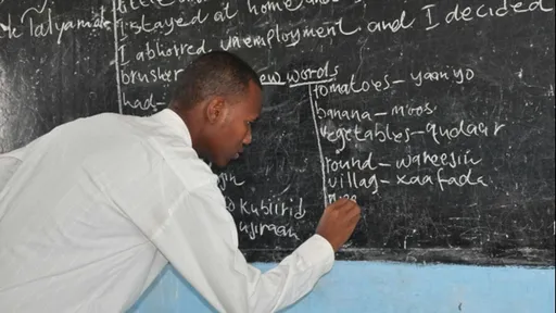Malamai 300,000 daga 700,000 ne ba su da ƙwarewa a Nijeriya – Majalisar Rajistar Malamai