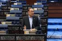 Penghantaran pulang warga Myanmar bukan berasaskan etnik — Anwar