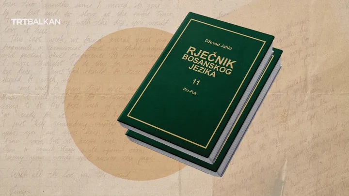 Bosanski jezik u trendu: Djeca bh. dijaspore ne zaboravljaju svoje korijene