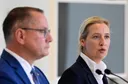 Massaal datalek bij AfD legt interne strijd, extremisme en omstreden donaties bloot