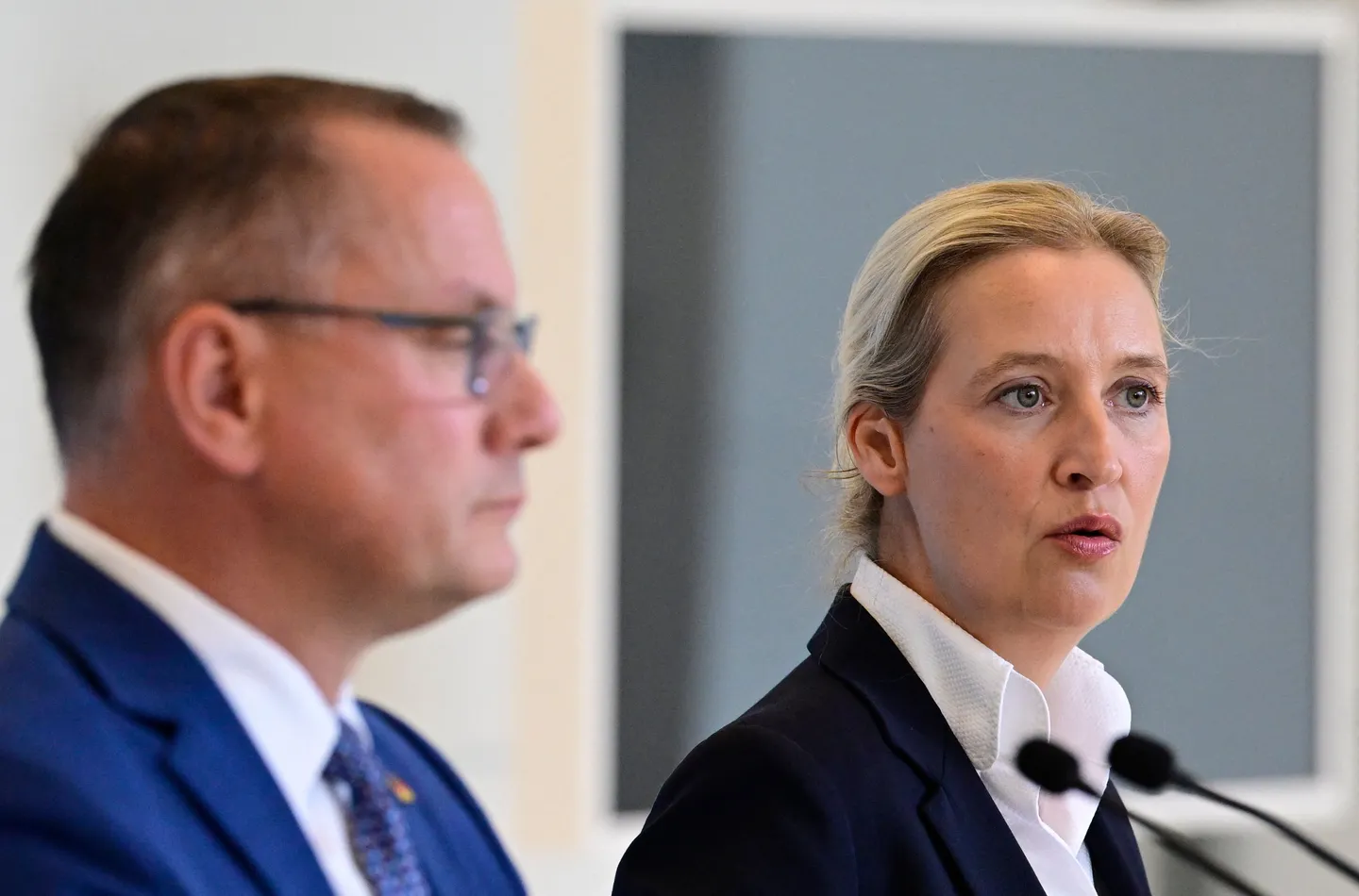 Massaal datalek bij AfD legt interne strijd, extremisme en omstreden donaties bloot