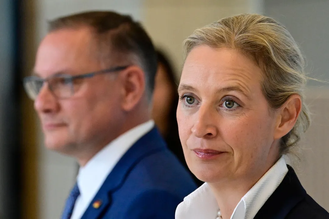 Hackerangriff auf Mailkonten der AfD – Brisante Inhalte im Netz veröffentlicht