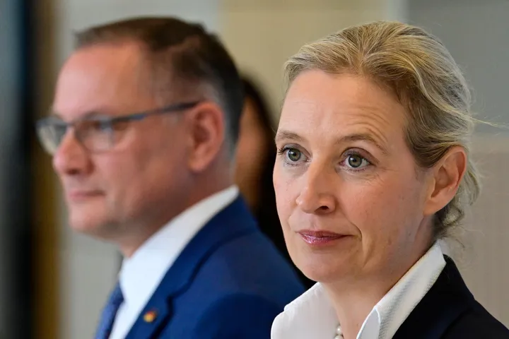 Hackerangriff auf Mailkonten der AfD – Brisante Inhalte im Netz veröffentlicht