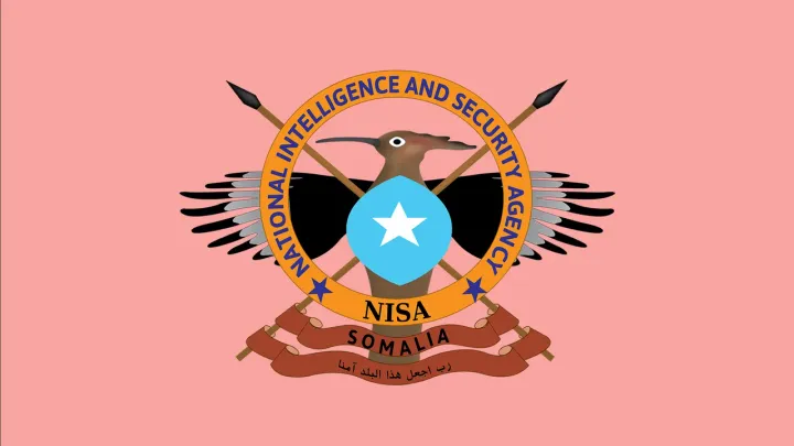 NISA oo dishay madaxii hore ee 'Amniyaadka' Al-Shabaab, kaddib howlgal ka dhacay Jilib
