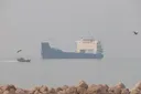 Нефть вернулась. Дизель — нет