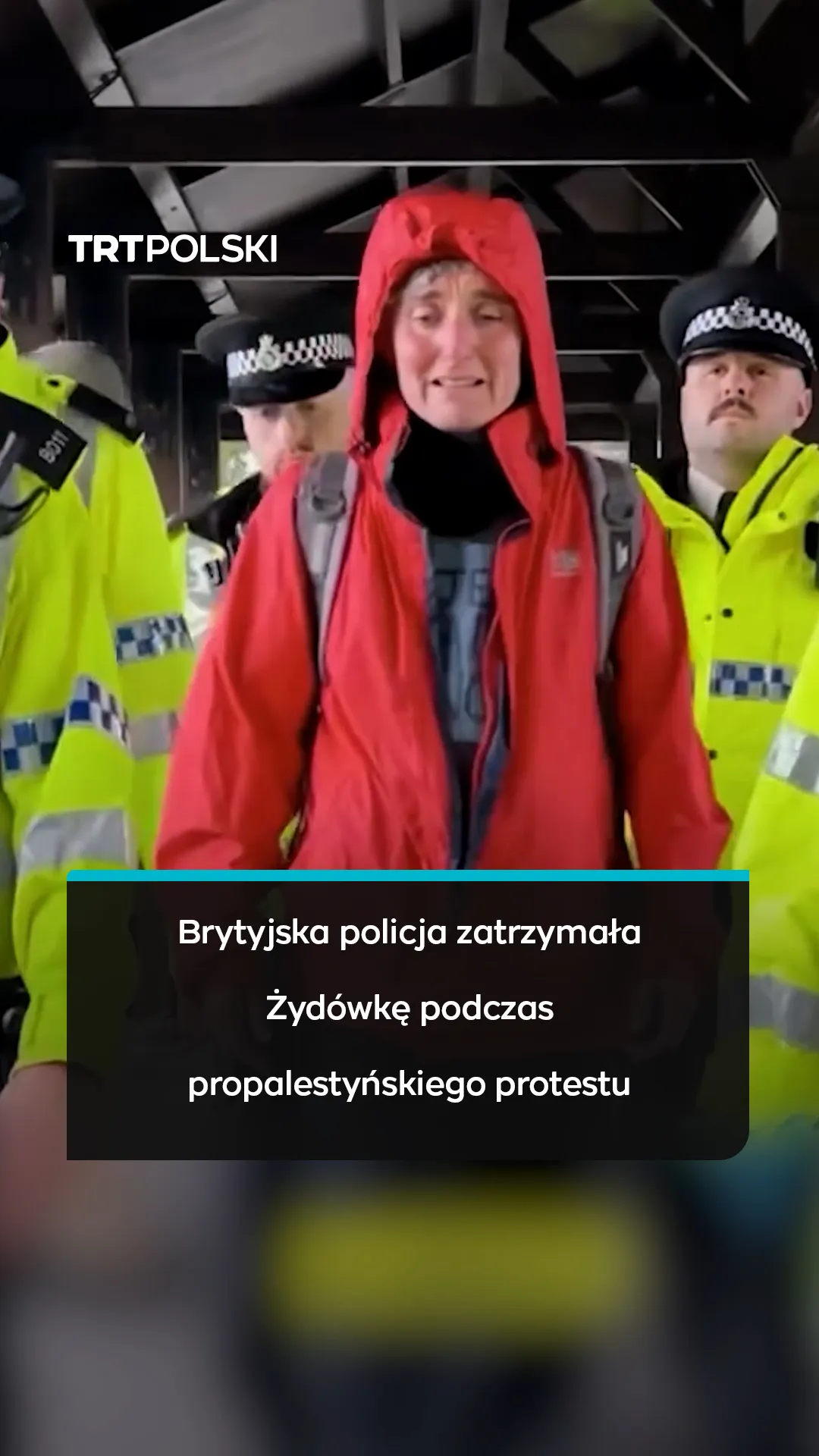 Brytyjska policja zatrzymała Żydówkę podczas propalestyńskiego protestu