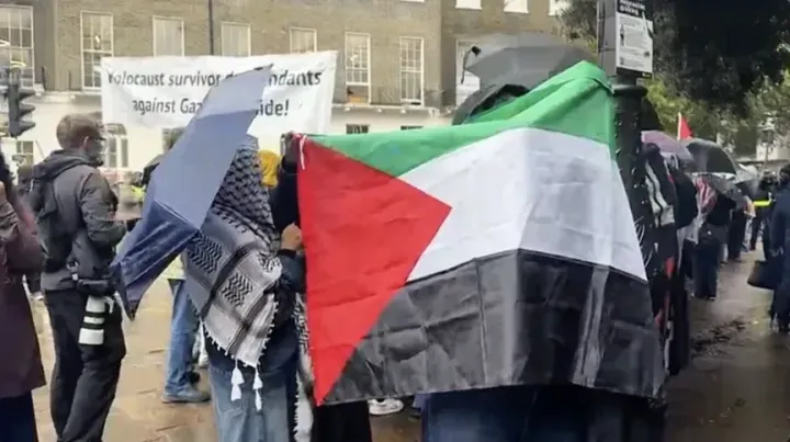 Protestues propalestinezë dhe kundërprotestues përplasen në qendër të Londrës
