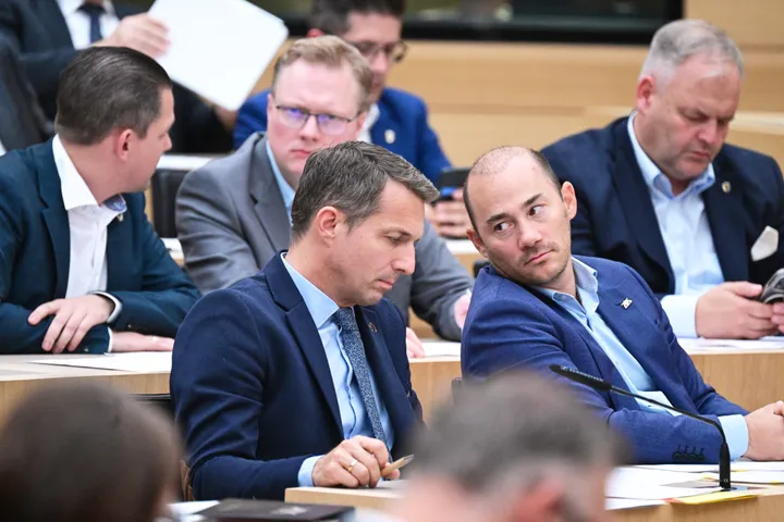 Baden-Württemberg: AfD rasselt durch fast alle Gremienwahlen