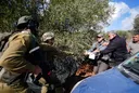 Cisjordanie occupée: quatre oléiculteurs blessés dans une attaque de colons israéliens