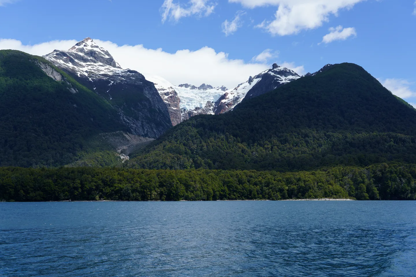 La tierra cambia de manos: ¿quiénes son los dueños extranjeros de territorios en Argentina?