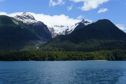 La tierra cambia de manos: ¿quiénes son los dueños extranjeros de territorios en Argentina?