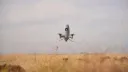 Kompania turke e mbrojtjes ASELSAN prezanton sistemin për neutralizimin e dronëve GOKALP