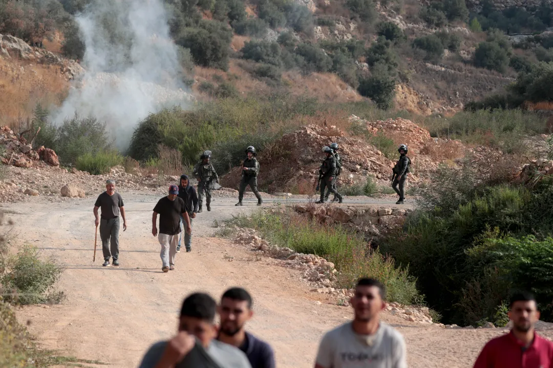 مستوطنون إسرائيليون يختطفون 7 فلسطينيين ويصيبون آخرين خلال موسم قطف الزيتون