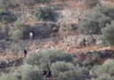 Illegal Israeli settlers order 47 Palestinian families to leave occupied West Bank homes