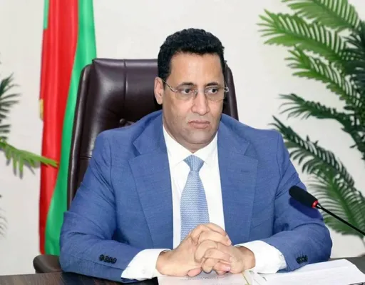 تضم 29 وزيراً.. موريتانيا تعلن حكومة جديدة شملت خروج 10 من الحكومة السابقة