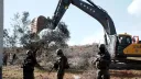 Израильтяне выкорчевали более 200 оливковых деревьев палестинцев