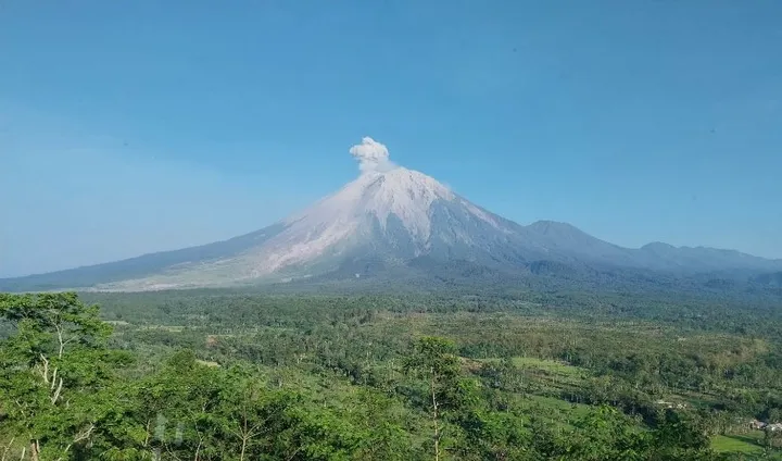 Gunung Semeru erupsi lima kali, kolom abu capai 1.000 meter