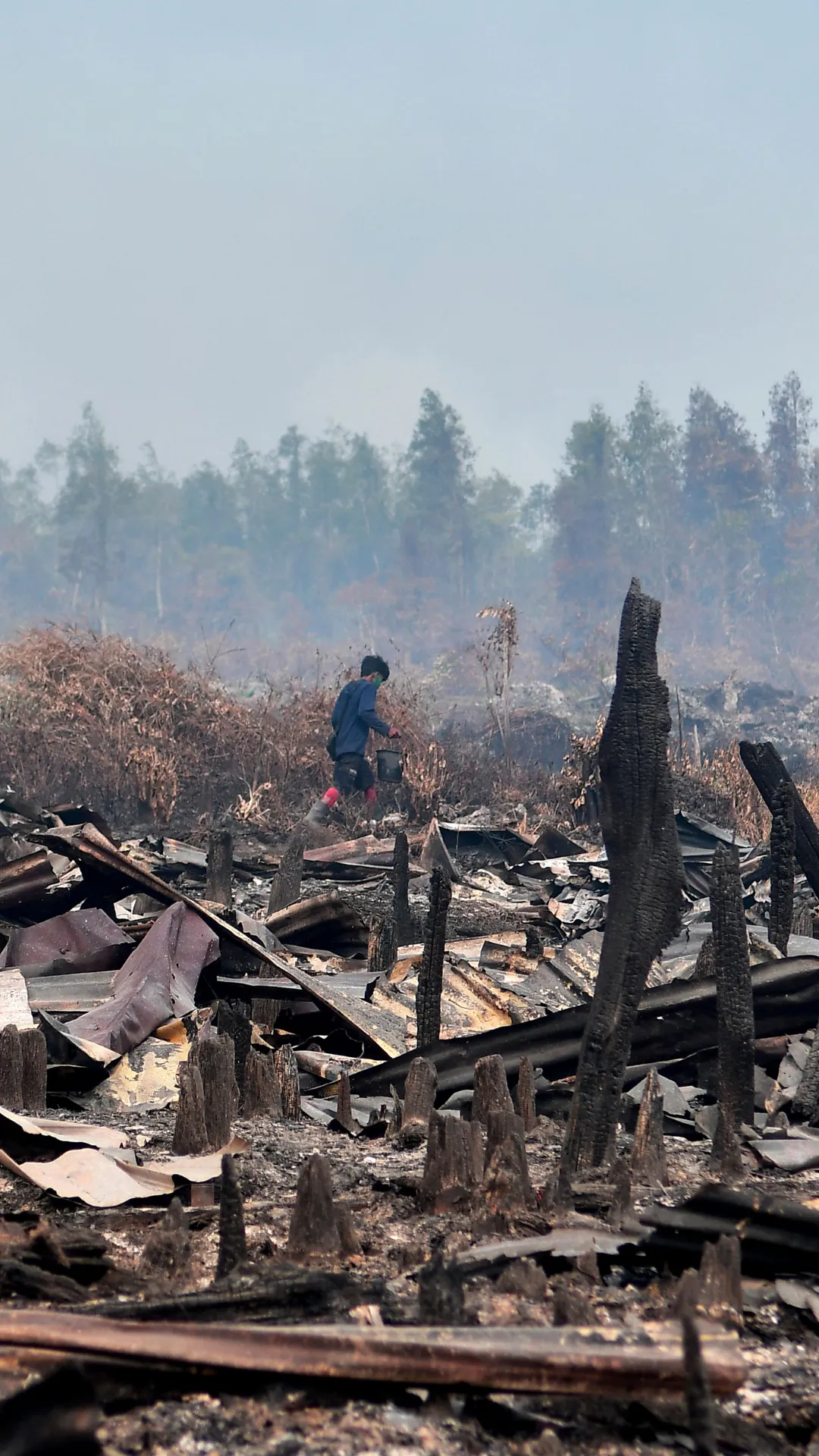 Kebakaran hutan di Bangka Belitung meluas ke permukiman, ratusan warga mengungsi