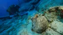 Amfora të lashta 4.700 vjet zbulohen pranë ishullit Kekova të Türkiyes