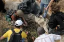 Ushtria izraelite konfiskon ullinj të palestinezëve, intensifikohen sulmet në Bregun Perëndimor