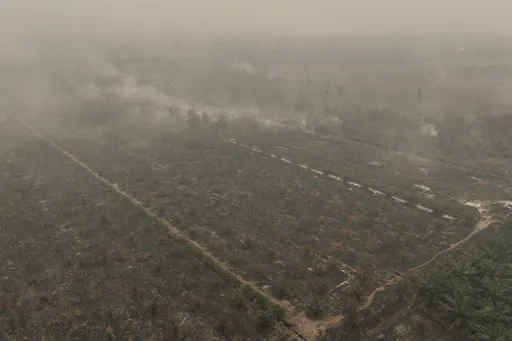 Four killed battling Indonesia fires as Singapore vows action over toxic haze