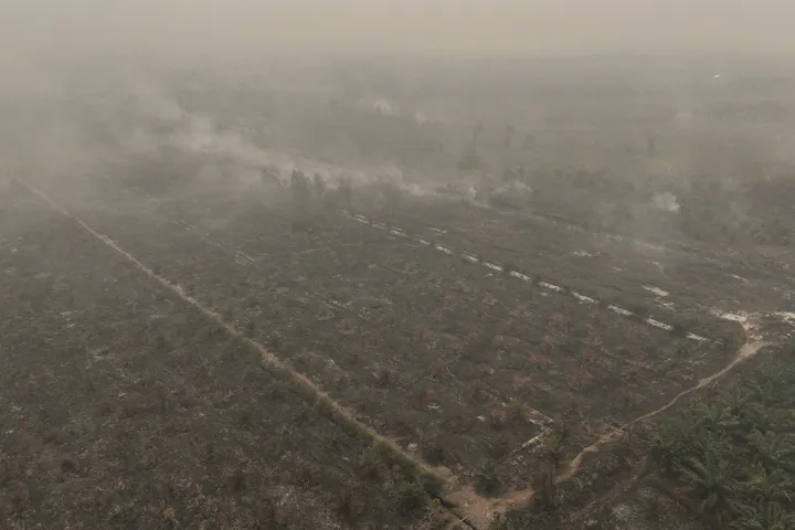 Four killed battling Indonesia fires as Singapore vows action over toxic haze