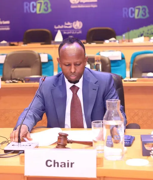 Wasiirka Caafimaadka Soomaaliya oo guddoomiyay kulammo ka tirsan Shirka 73-aad ee WHO ee Qaahira