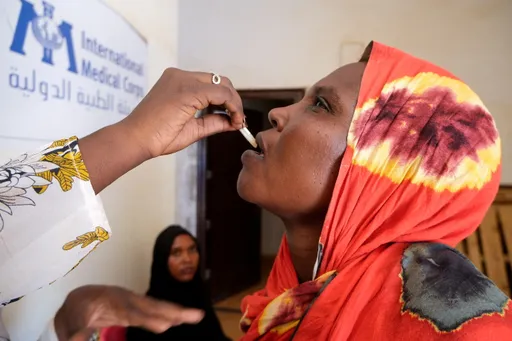 Tchad: les autorités déclarent une épidémie de la dengue
