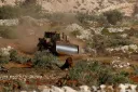 Izraelski rabin dozvolio okupatorima da ukradu palestinsku berbu maslina na Zapadnoj obali