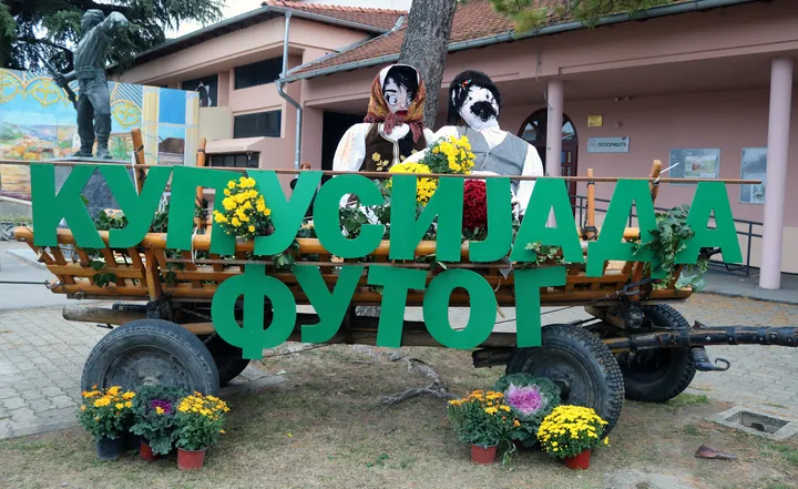 Srbija: Na Futoškoj kupusijadi pobedila glavica teška gotovo šest i po kilograma