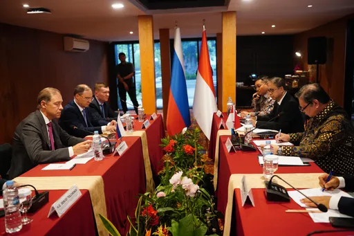 Indonesia-Rusia dorong perluasan akses pasar melalui Perjanjian Perdagangan Bebas I-EAEU