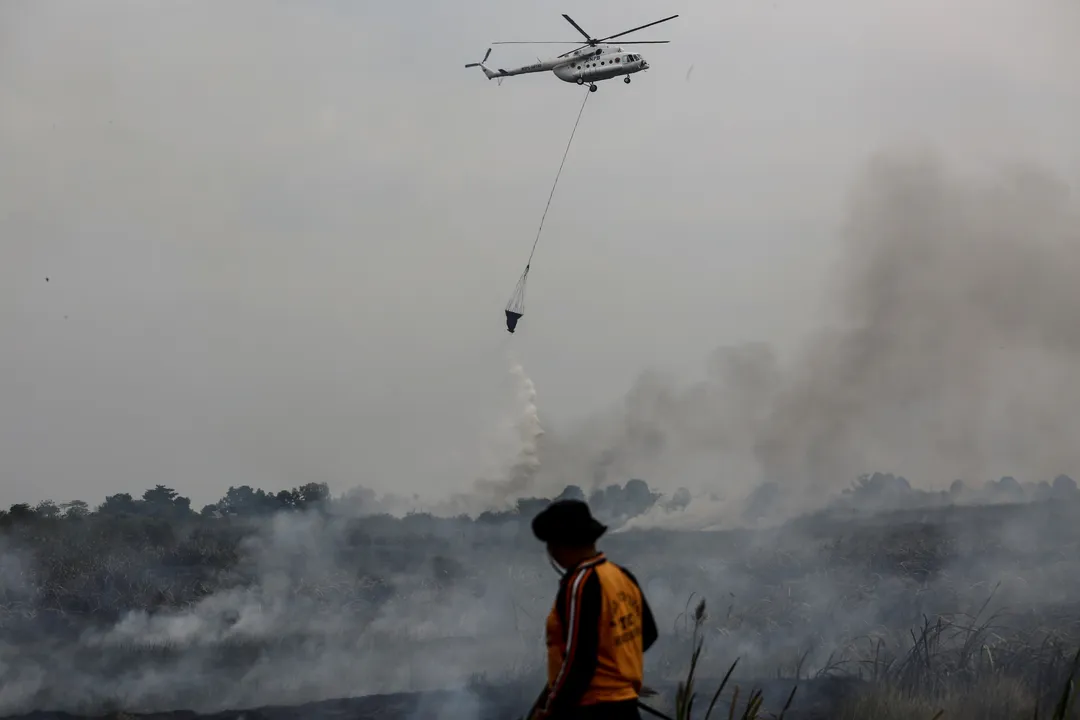 BNPB siapkan koordinasi bantuan asing untuk penanganan karhutla di Indonesia