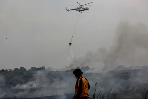 BNPB siapkan koordinasi bantuan asing untuk penanganan karhutla di Indonesia