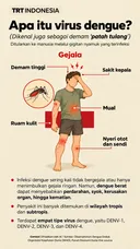 Apa itu virus dengue?