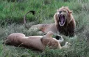 Kenya seals $160 million conservation deal backed by US billionaire heirs