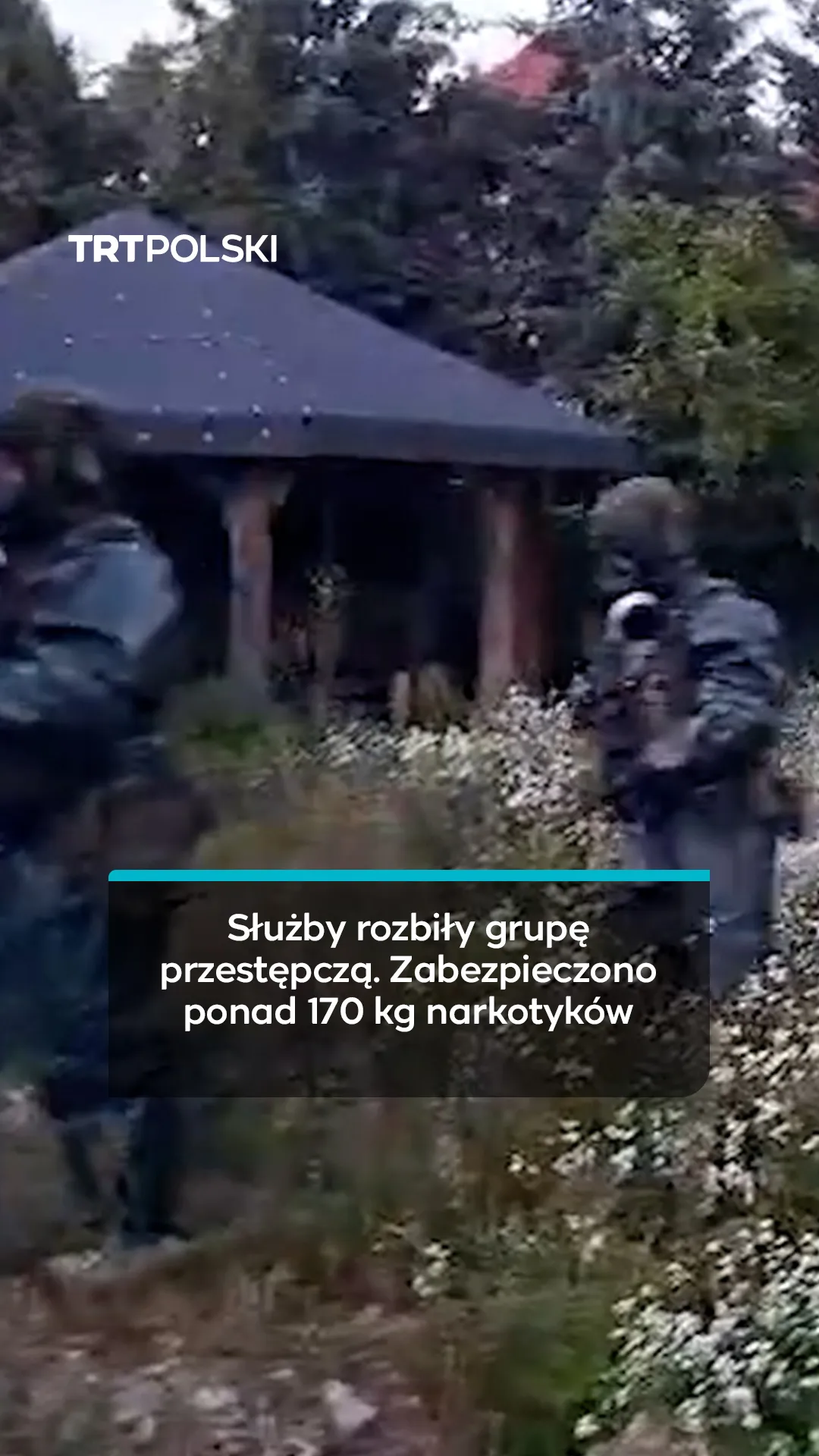 Służby rozbiły grupę przestępczą. Zabezpieczono ponad 170 kg narkotyków