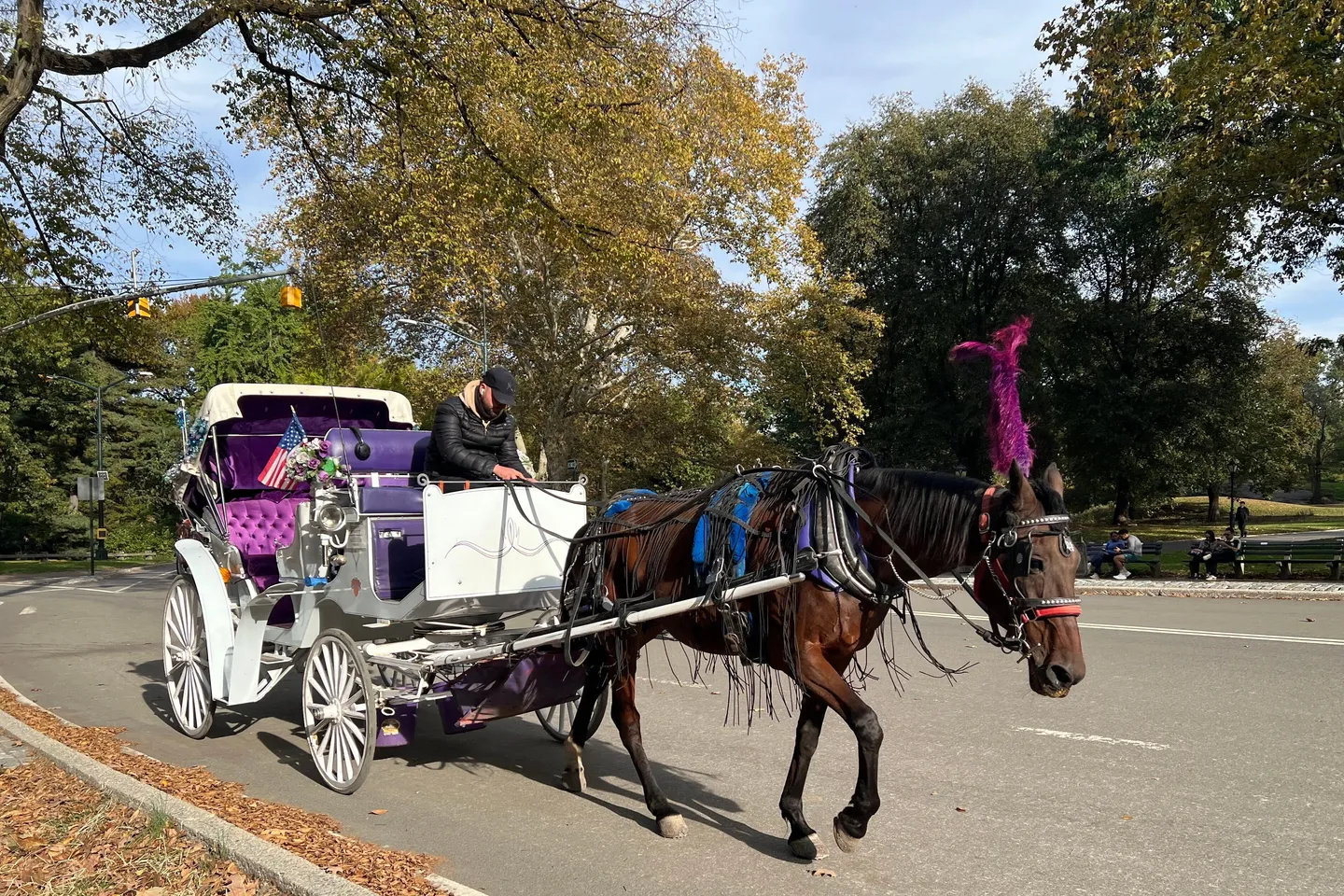 New Yorker Stadtrat: Aus für Pferdekutschen im Central Park