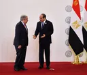 Egypt's Sisi calls for 'just' Palestinian settlement, UN Security Council reform