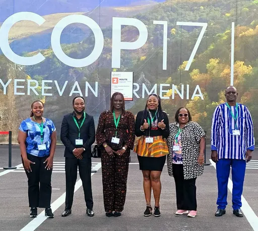 Why decisions in Yerevan matter for Africa