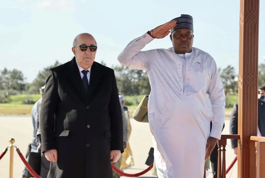 Algeria's president authorises troop deployment to protect Niger's energy sites