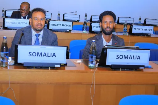 Soomaaliya oo ka Qaybgashay Kalfadhigii 10-aad ee Guddiga Tirakoobka Afrika