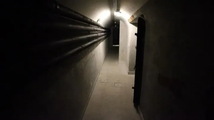 Estonija gradi oko 150 bunkera u blizini granice s Rusijom