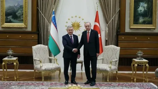 Presidenti turk takohet me homologun uzbek në Ankara