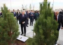 Лидеры тюркских государств высадили деревья в Анкаре