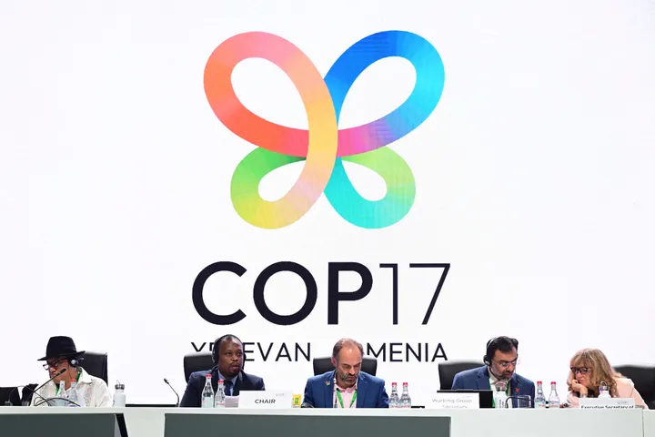 Nations strike deal to revive global nature goals, but progress falls short