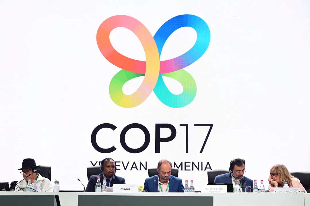 Nations strike deal to revive global nature goals, but progress falls short