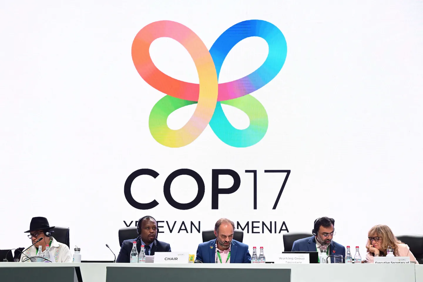 Nations strike deal to revive global nature goals, but progress falls short