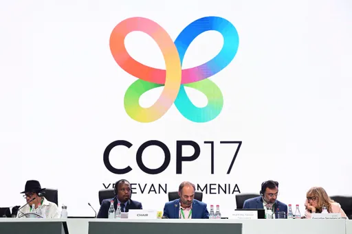 Nations strike deal to revive global nature goals, but progress falls short